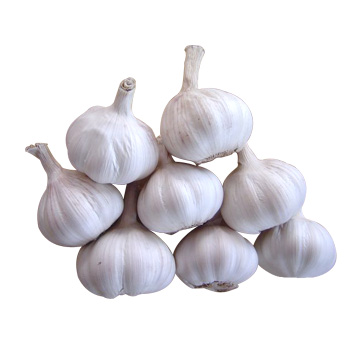 garlic remedy for yeast infection